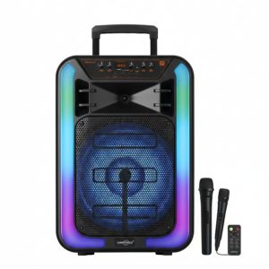 سبيكر 15 إنش portable
